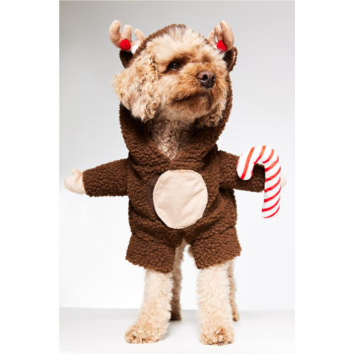 H&M Reindeer Costume for a Dog