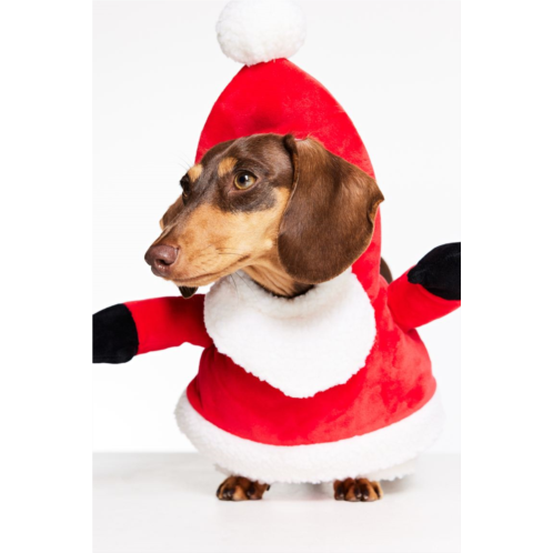 H&M Santa Costume for a Dog