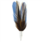 Trimmed & Crowned Blue & Grey Feather