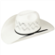 Bailey Western Galloway 15X Cowboy Hat