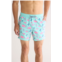 Party Pants Moby Swim Trunks