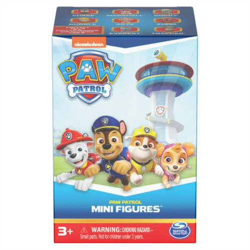 Spin Master Paw Patrol 10th Anniversary Collectible Blind Box Mini Figure - Style May Vary
