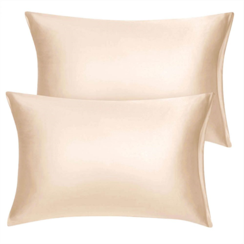 PiccoCasa 2PCS Soft Silky Satin Pillow Cases Covers Travel 14x20