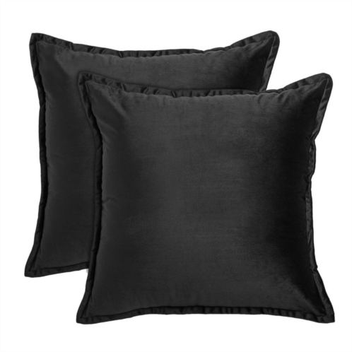 Unbranded Traditional Throw Pillow 2-piece Set