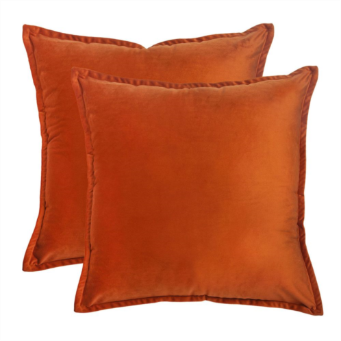 Unbranded Traditional Throw Pillow 2-piece Set