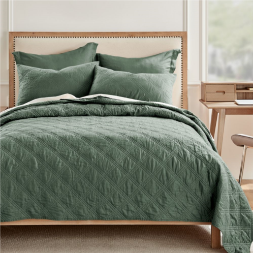 Levtex Home Green Forrest Quilt or Shams