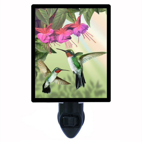Night Light Designs Fuchsia And Hummingbird. Decorative Photo Night Light. Light Comes with an Extra Free Switchable Picture.