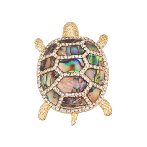 Napier Abalone Turtle Pin
