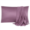PiccoCasa Soft Silk Satin Pillowcases for Hair and Skin with Envelope 2PCS Queen 20x30