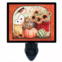 Night Light Designs Autumns Delight. Fall Decorative Photo Night Light. Light Comes with an Extra Free Switchable Picture.