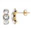 Taylor Grace 10k Gold Crystal Drop Earrings