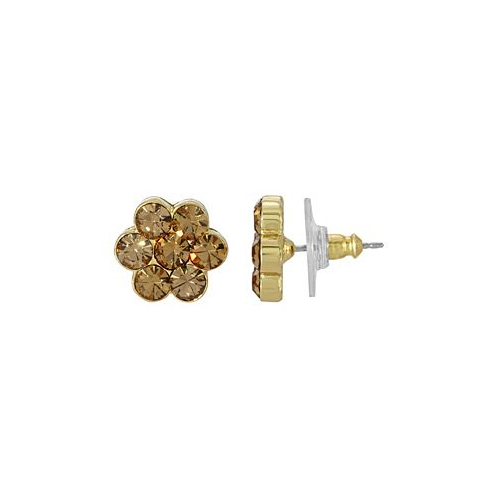 2028 Light Brown Crystal Flower Button Earrings
