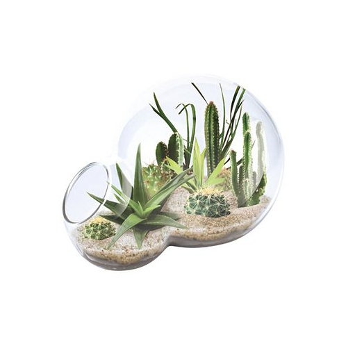 Areyougame Unique Gardener Double Sphere Glass Terrarium Desert Escape Growarium Plant Kit