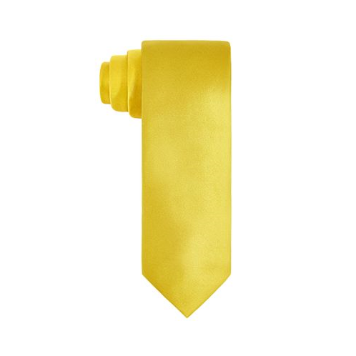 Tayion Collection Mens Black & Gold Solid Tie