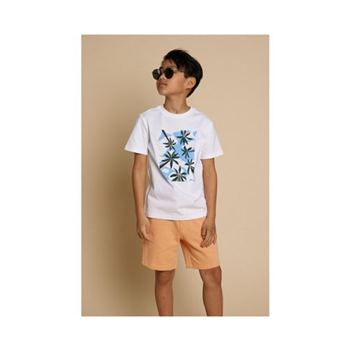 Brooks Brothers B by Big Boys Tropical Graphic T-shirt