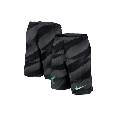 Nike Mens Anthracite Liverpool 2023/24 Stadium Goalkeeper Performance Shorts