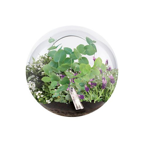 Areyougame Unique Gardener Glass Terrarium Crystal Glass Garden Plant Kit