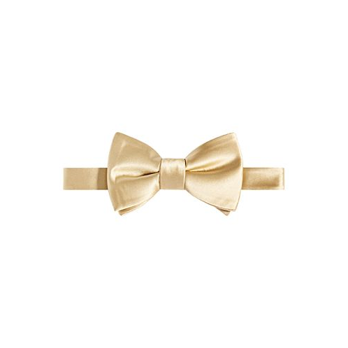 Tayion Collection Mens Purple & Gold Solid Bow Tie