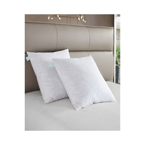 Martha Stewart Feather Firm 2-Pack Pillow European