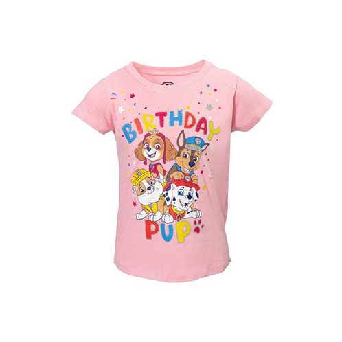 Paw Patrol Toddler Girls Skye Rubble Chase Marshall Birthday T-Shirt