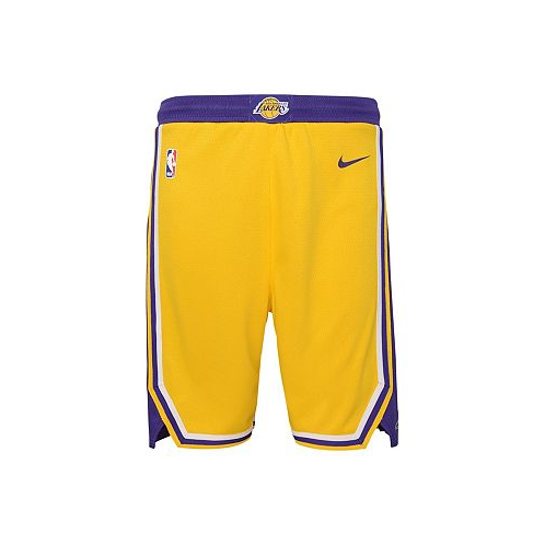 Nike Big Boys Gold Los Angeles Lakers Icon Edition Mesh Performance Swingman Shorts