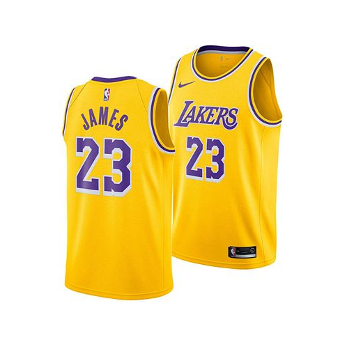 Nike Mens LeBron James Los Angeles Lakers Icon Swingman Jersey