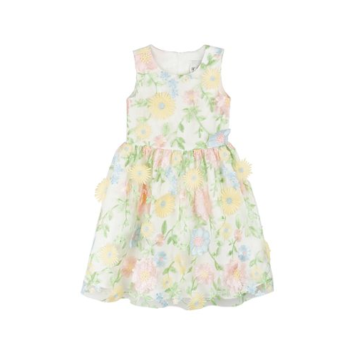 Rare Editions Toddler Girls Sleeveless 3D Floral Embroidered Social Dress