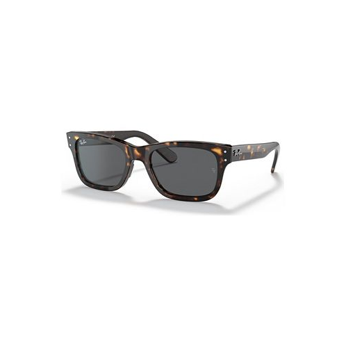 Ray-Ban Unisex Burbank Sunglasses RB2283