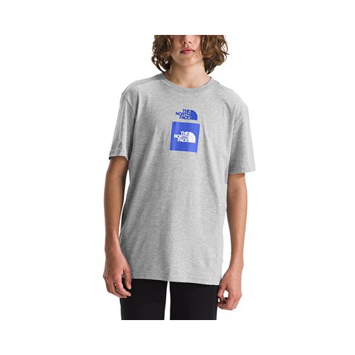 The North Face Big Boys Short-Sleeve Logo Graphic T-Shirt