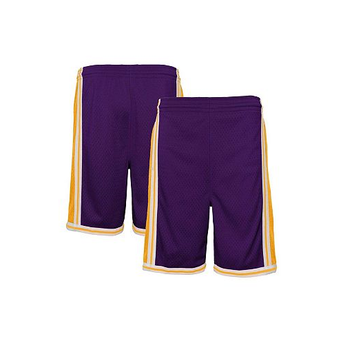 Mitchell & Ness Big Boys Purple Los Angeles Lakers Hardwood Classics Swingman Shorts