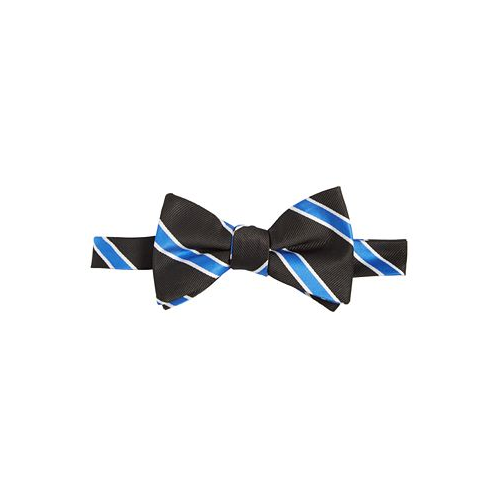 Tayion Collection Mens Royal Blue & White Stripe Bow Tie