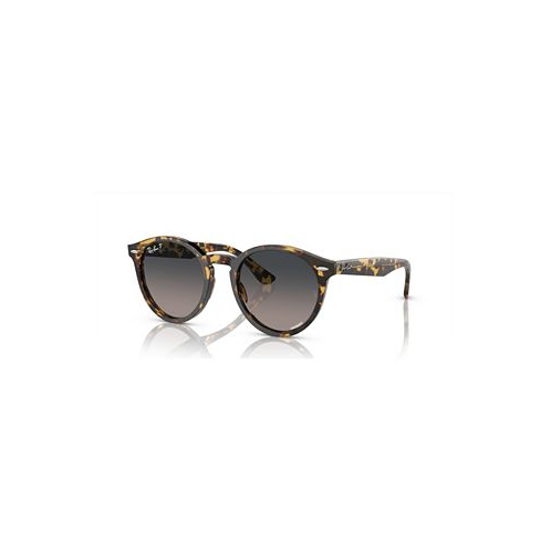 Ray-Ban Unisex Larry Polarized Sunglasses Gradient RB7680S