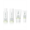 Well People 4-Pc. Plant Power Skincare Starter Set