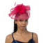 Bellissima Millinery Collection Womens Feather Sinamay Fascinator