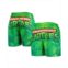 Chalk Line Mens Green Teenage Mutant Ninja Turtles Logo Retro Shorts