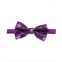 Eagles Wings Mens Purple Kansas State Wildcats Oxford Bow Tie