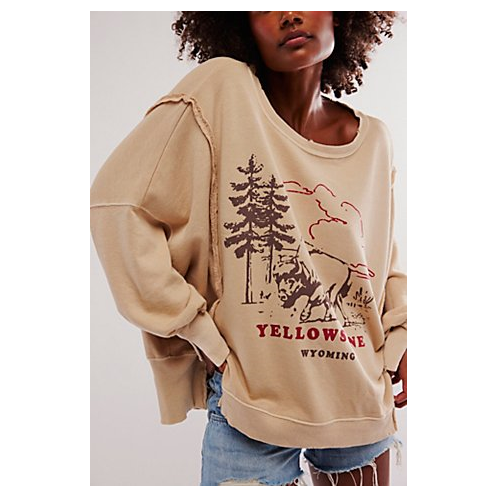 FreePeople We The Free Graphic Camden Pullover