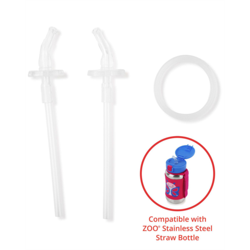 Carters Clear Stainless Steel Straw Bottle Extra Straws - 2-Pack