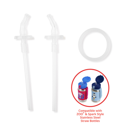 Carters Clear Stainless Steel Straw Bottle Extra Straws - 2-Pack