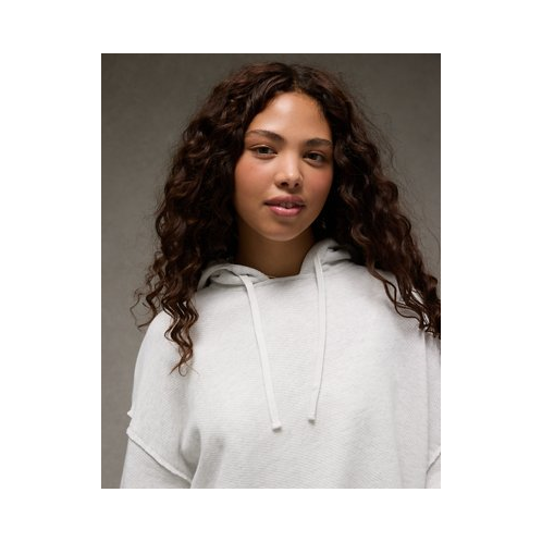 American Eagle AE Saltwash Hoodie