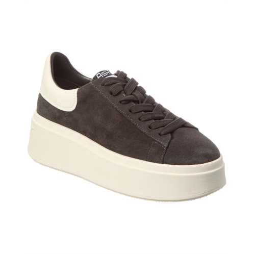 Ash moxie suede platform sneaker