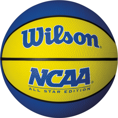 Wilson Mini Basketball