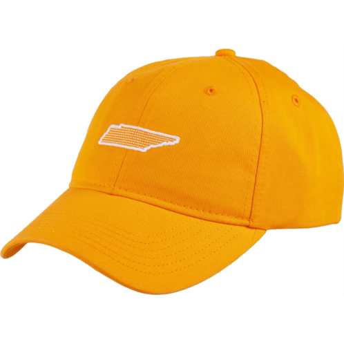 Academy Sports + Outdoors Mens Tennessee Cap