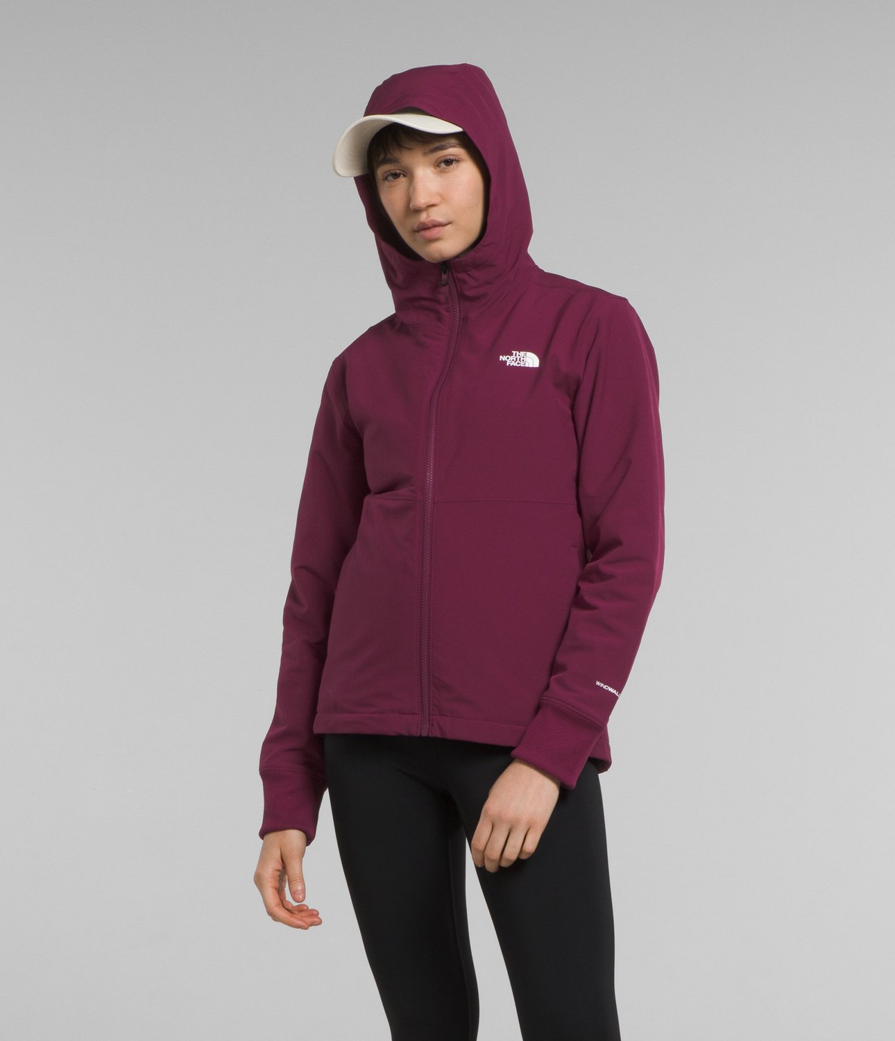 The North face Womens Shelbe Raschel Hoodie