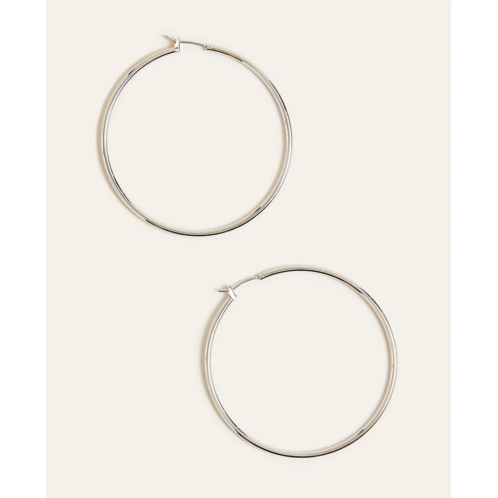 Anntaylor Essential Hoop Earrings