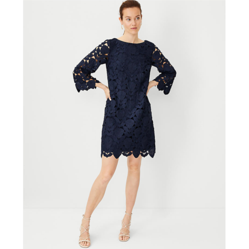 Anntaylor Studio Collection Lace Boatneck Shift Dress