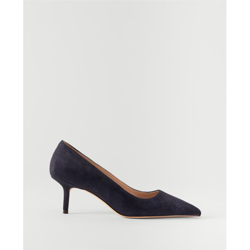 Anntaylor Daphne Suede Pumps