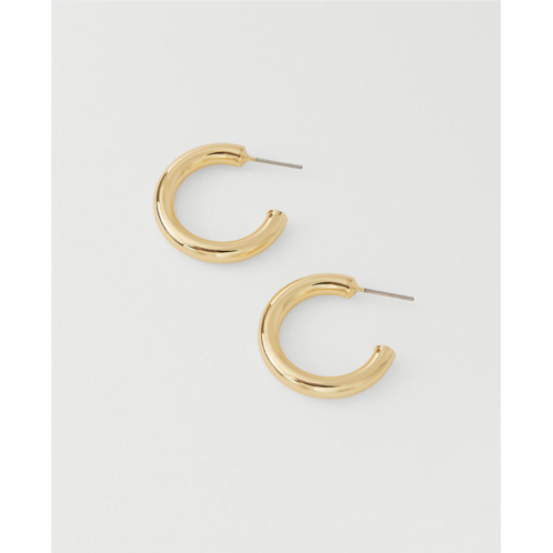 Anntaylor Demi Fine Hoop Earrings