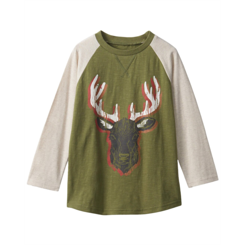 Hatley Grand Elk Raglan T-Shirt