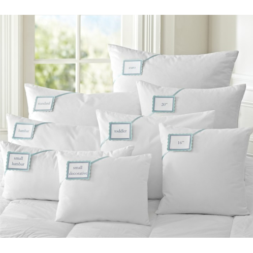 Potterybarn Luxury Loft Down Alternative Decorative Pillow Inserts